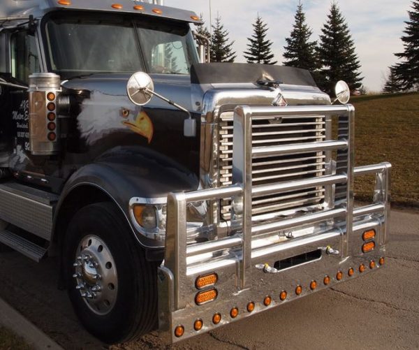 Best Moose Bumpers for SemiTrucks